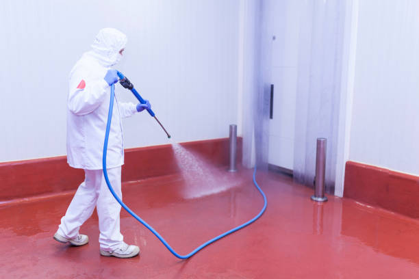 Best Dumpster Area Cleaning  in Buena Park, CA