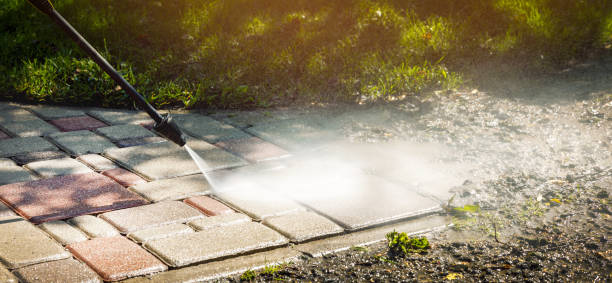 Best Fence Cleaning  in Buena Park, CA