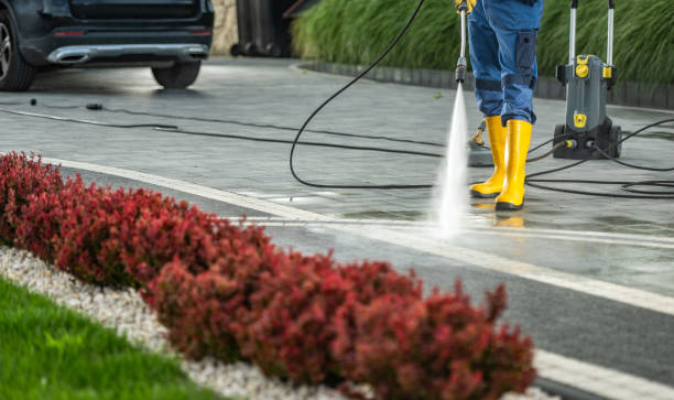 Best Sidewalk and Walkway Cleaning  in Buena Park, CA