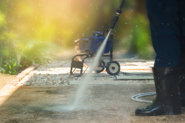 Best Animal Enclosure Cleaning  in Buena Park, CA